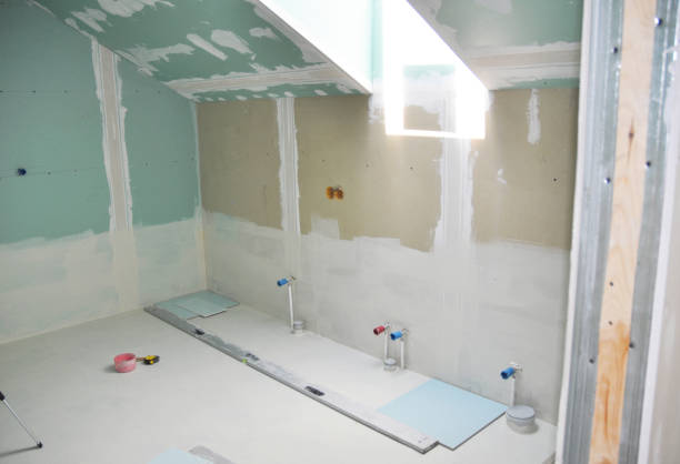 Best Black Mold Removal  in Newtown, OH