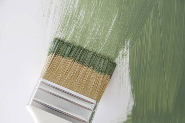 Best Attic Mold Removal  in Newtown, OH
