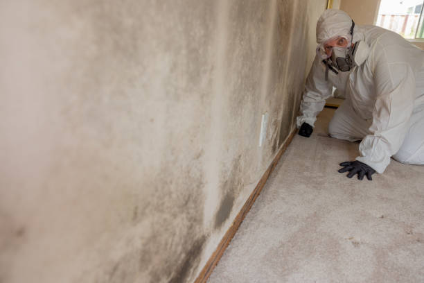 Mold Documentation for Insurance Claims in Newtown, OH