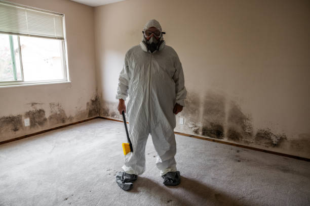 Best Airborne Mold Testing  in Newtown, OH